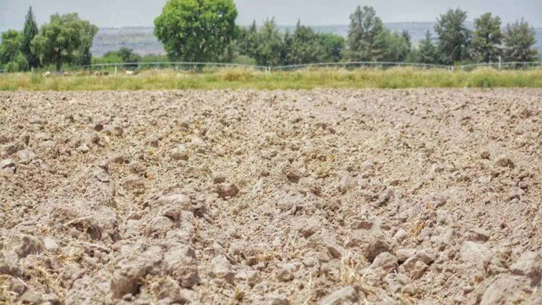 Indispensable estimular lluvias en la sierra de Durango: SAGDR